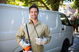 Best Termite Inspection and Treatment  in Garden City Park, NY